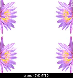 Fleurs de Lotus isolées sur fond blanc. Collage. Espace libre pour le texte. Banque D'Images