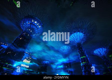 Singapour, le 14 août 2024 : Northern Lights à Singapour avec Borealis, une nouvelle installation immersive de lumière et de son à Gardens by the Bay’s Supertree Banque D'Images