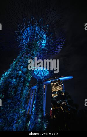 Singapour - 14 août 2024 : spectacle lumineux d'arbres géants au Garden by the Bay la nuit à Singapour. Célèbre monument et populaire pour le tourisme Banque D'Images