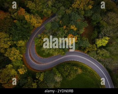 Une route sinueuse serpente à travers une tapisserie d'arbres d'automne vibrants, leurs teintes flamboyantes peignant le paysage dans des tons d'or, d'orange et de rouge. Banque D'Images