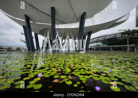 Singapour - 14 août 2024 : architecture futuriste conception en forme de Lotus du musée des sciences de l'art situé en face de Marina Bay Sands Banque D'Images