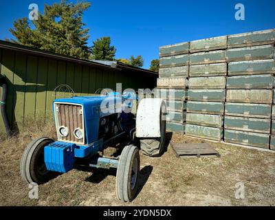 Tracteur Ford bleu vintage garé par une pile de caisses de pommes altérées dans une ferme rurale, capturant le charme rustique et le patrimoine agricole dans une harv d'automne Banque D'Images