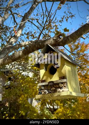 Nichoir rustique fait à la main avec des détails de galets accrochés à une branche d'arbre pendant l'automne, entouré de feuillage d'automne coloré sous un ciel bleu clair Banque D'Images