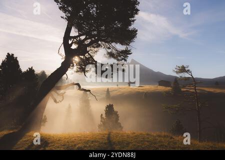 Prairie alpine idyllique lors d'un lever de soleil de mauvaise humeur, atmosphérique et brumeux à Alpe di Siusi avec des cabanes rustiques et des vues sur le paysage des montagnes Dolomites Banque D'Images