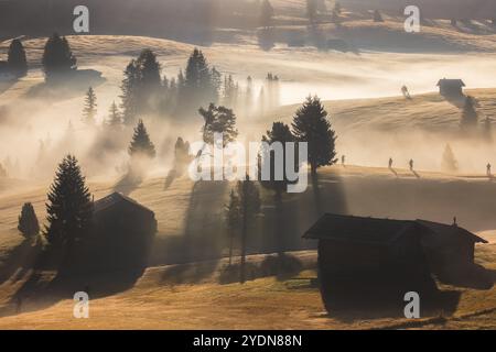 Prairie alpine idyllique lors d'un lever de soleil de mauvaise humeur, atmosphérique et brumeux à Alpe di Siusi avec des cabanes rustiques et des vues sur le paysage des montagnes Dolomites Banque D'Images