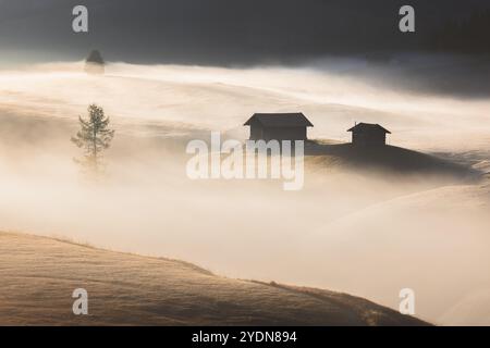 Prairie alpine idyllique lors d'un lever de soleil de mauvaise humeur, atmosphérique et brumeux à Alpe di Siusi avec des cabanes rustiques et des vues sur le paysage des montagnes Dolomites Banque D'Images