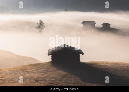 Prairie alpine idyllique lors d'un lever de soleil de mauvaise humeur, atmosphérique et brumeux à Alpe di Siusi avec des cabanes rustiques et des vues sur le paysage des montagnes Dolomites Banque D'Images