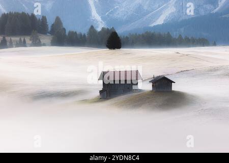 Prairie alpine idyllique pendant une matinée sombre, atmosphérique et brumeuse, glacée à Alpe di Siusi avec des cabanes rustiques et des vues sur le paysage de la moun Dolomite Banque D'Images