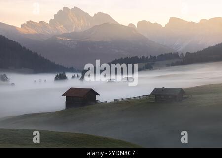 Prairie alpine idyllique lors d'un lever de soleil de mauvaise humeur, atmosphérique et brumeux à Alpe di Siusi avec des cabanes rustiques et des vues sur le paysage des montagnes Dolomites Banque D'Images