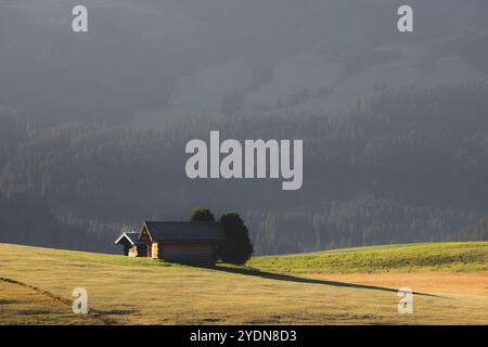 Cabanes et cabanes de montagne rustiques nichées dans les prairies alpines de l'Alpe di Siusi, avec des sommets majestueux Dolomite en arrière-plan sous la douce lig de l'aube Banque D'Images