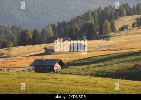 Cabanes et cabanes de montagne rustiques nichées dans les prairies alpines de l'Alpe di Siusi, avec des sommets majestueux Dolomite en arrière-plan sous la douce lig de l'aube Banque D'Images