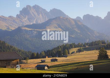 Cabanes et cabanes de montagne rustiques nichées dans les prairies alpines de l'Alpe di Siusi, avec des sommets majestueux Dolomite en arrière-plan sous la douce lig de l'aube Banque D'Images