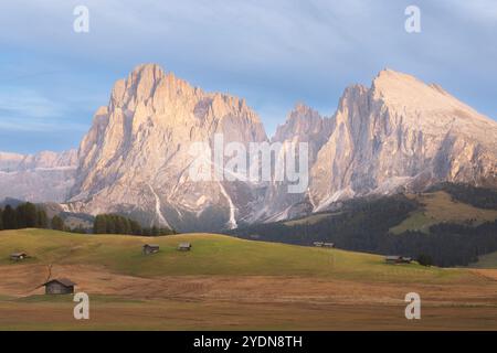 Vue idyllique matin ou soir sur les prairies pittoresques de l'Alpe di Siusi avec des cabanes rustiques et les Dolomites imposantes dans le Tyrol du Sud, Italie. Banque D'Images