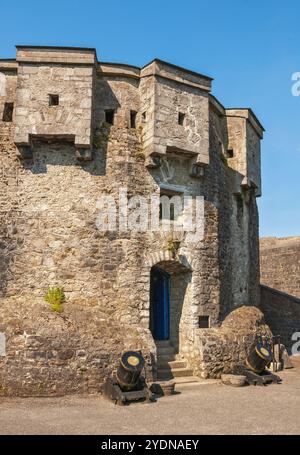 Irlande, comté de Westmeath, château d'Athlone Banque D'Images