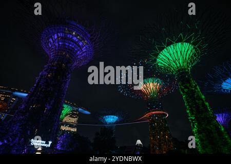 Singapour - 14 août 2024 : spectacle lumineux d'arbres géants au Garden by the Bay la nuit à Singapour. Célèbre monument et populaire pour le tourisme Banque D'Images