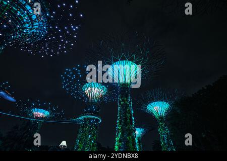 Singapour - 14 août 2024 : spectacle lumineux d'arbres géants au Garden by the Bay la nuit à Singapour. Célèbre monument et populaire pour le tourisme Banque D'Images
