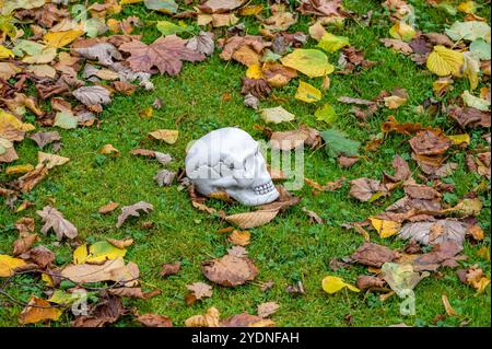 Modèle d'un crâne humain dans un jardin utilisé comme décorations d'halloween, Royaume-Uni Banque D'Images