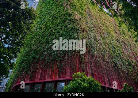 Singapour - 15 août 2024 : jardins suspendus sur le bel hôtel rouge Oasia à Tanjung Pagar Banque D'Images