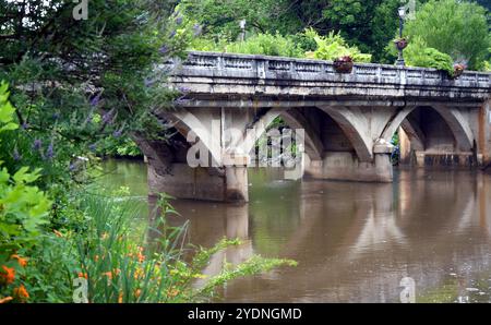 Image du niveau d'eau du pont de fleurs du lac Lure, Lake Lure, Caroline du Nord. Un lampadaire et deux paniers de fleurs sont visibles sur la balustrade. Banque D'Images