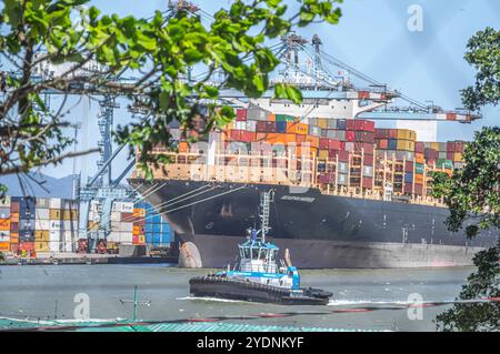 Navegantes-SC,brasil-octobre 25,2024 cette image capture un cargo porte-conteneurs amarré au port de Itajaí à Santa Catarina, Brésil, chargé de co Banque D'Images