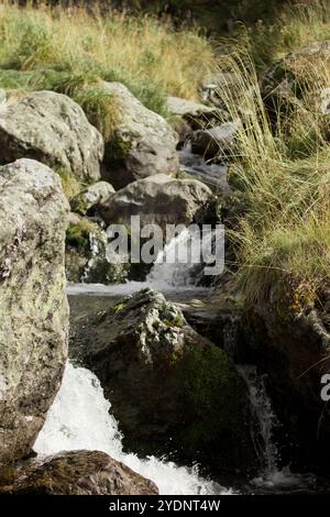 un ruisseau de montagne tranquille serpentant à travers un paysage rocheux. L'eau coule rapidement sur de grands rochers couverts de mousse, créant de petites cascades Banque D'Images