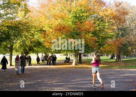 Greater London, Royaume-Uni. 27 octobre 2024.Météo britannique. Plus chaud que la normale dimanche d'automne dans le parc de Greenwich, le grand public affluent pour se garer pour le soleil si nécessaire et l'air frais extérieur. Angleterre Royaume-Uni. Crédit : Xiu Bao/Alamy Live News Banque D'Images