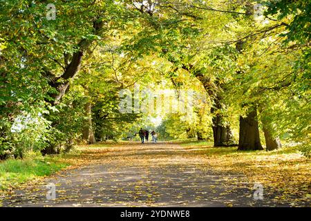 Greater London, Royaume-Uni. 27 octobre 2024.Météo britannique. Plus chaud que la normale dimanche d'automne dans le parc de Greenwich, le grand public affluent pour se garer pour le soleil si nécessaire et l'air frais extérieur. Angleterre Royaume-Uni. Crédit : Xiu Bao/Alamy Live News Banque D'Images