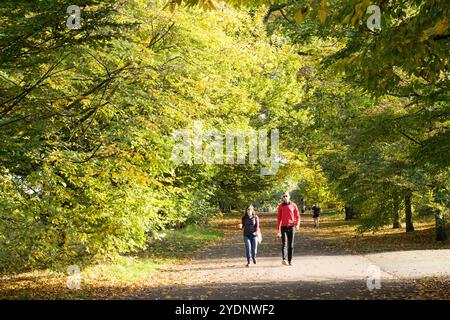 Greater London, Royaume-Uni. 27 octobre 2024.Météo britannique. Plus chaud que la normale dimanche d'automne dans le parc de Greenwich, le grand public affluent pour se garer pour le soleil si nécessaire et l'air frais extérieur. Angleterre Royaume-Uni. Crédit : Xiu Bao/Alamy Live News Banque D'Images