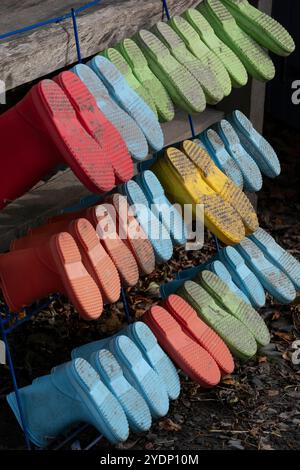 Bottes en caoutchouc imperméable Wellington multicolores alignées sur un rack dans un camp forestier en Angleterre. Banque D'Images