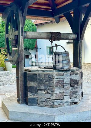 La photo montre un château médiéval slovène, mettant en valeur ses détails architecturaux. Banque D'Images