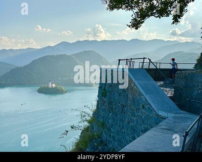 La photo montre un château médiéval slovène, mettant en valeur ses détails architecturaux. Banque D'Images