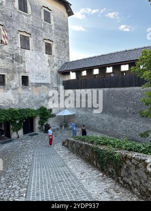 La photo montre un château médiéval slovène, mettant en valeur ses détails architecturaux. Banque D'Images