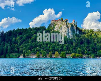 La photo montre un château médiéval slovène, mettant en valeur ses détails architecturaux. Banque D'Images