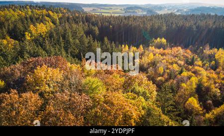 Augsburg Land, Bavière, Allemagne - 27 octobre 2024 : arbres feuillus d'en haut en orange, jaune et vert. Symbolise l'automne en Allemagne dans la zone forestière. Vue aérienne d'un drone, ou photographie aérienne. *** Laubbäume von oben en orange, gelb und Grün. Symbolisiert Herbst in Deutschland im Wald-Gebiet. Luftbild einer Drohne, bzw. Luftaufnahme. Banque D'Images