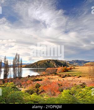 Vue panoramique vertical du Lac Wanaka en automne. Au premier plan sont les fougères vert et rouge Wild Rose buissons de la hanche. Dans l'arrière-plan est un dramat Banque D'Images