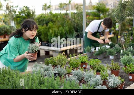 La fleuriste de fille choisit des plantes de thymus pour créer l'arrangement floral et l'aménagement paysager de la zone de parc Banque D'Images
