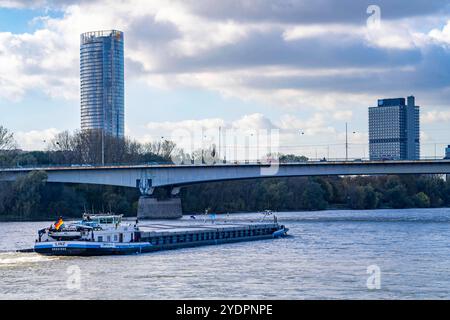 Die Konrad-Adenauer-Brücke, Südbrücke, Autobahnbrücke A562 und 2 Stadtbahnlinien, Straßenbahn,un-Campus Bonn, Posttower, NRW, Deutschland Konrad-Adenauer-Brücke *** le pont Konrad Adenauer, le pont Sud, le pont autoroutier A562 et 2 lignes de tramway, un Campus Bonn, Posttower, NRW, Allemagne Pont Konrad Adenauer Banque D'Images