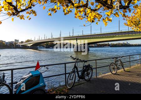 Die Kennedybrücke, mittlere der 3 Bonner Rheinbrücken, verbindet das Zentrum von Bonn und den Stadtteil Beuel, Bundesstraße B56, Stadtbahnlinien und Geh- und Radwege, Bonn NRW, Deutschland Kennedybrücke *** le pont Kennedy, au milieu des ponts Bonns 3 Rhin, relie le centre de Bonn et le district de Beuel, la route fédérale B56, lignes de métro léger et sentiers pédestres et pistes cyclables, Bonn NRW, Allemagne Kennedy Bridge Banque D'Images