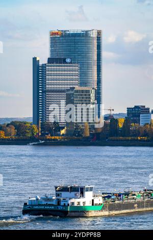 Skyline Bonn am Rhein, vorne das UNFCCC Sekretariat der Klimarahmenkonvention, Mitte das Hochhaus der Vereinte Nationen, Campus Bonn, dahinter der Posttower, Konzernzentrale der Deutschen Post, Frachtschiff, NRW, Deutschland, Skyline Bonn *** Skyline Bonn sur le Rhin, devant le secrétariat de la CCNUCC de la Convention-cadre sur les changements climatiques, dans la tour du bâtiment de la tour du haut bâtiment des Nations Unies, Campus Post, Allemagne Banque D'Images