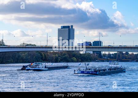 Die Konrad-Adenauer-Brücke, Südbrücke, Autobahnbrücke A562 und 2 Stadtbahnlinien, Straßenbahn,un-Campus Bonn, NRW, Deutschland Konrad-Adenauer-Brücke *** Pont Konrad Adenauer, Pont Sud, pont autoroutier A562 et 2 lignes de tramway, Campus un Bonn, NRW, Allemagne Pont Konrad Adenauer Banque D'Images