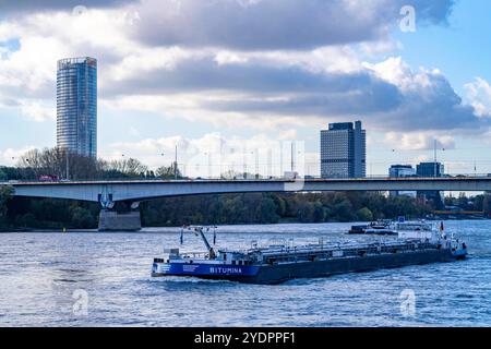 Die Konrad-Adenauer-Brücke, Südbrücke, Autobahnbrücke A562 und 2 Stadtbahnlinien, Straßenbahn,un-Campus Bonn, Posttower, NRW, Deutschland Konrad-Adenauer-Brücke *** le pont Konrad Adenauer, le pont Sud, le pont autoroutier A562 et 2 lignes de tramway, un Campus Bonn, Posttower, NRW, Allemagne Pont Konrad Adenauer Banque D'Images