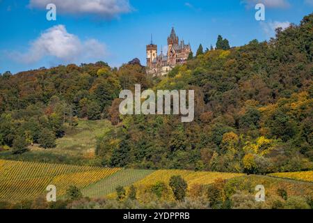 Schloß Drachenburg, am Drachenfels, ein Berg im Siebengebirge am Rhein zwischen Bad Honnef und Königswinter, NRW, Deutschland, Drachenfels *** Château de Drachenburg, sur Drachenfels, une montagne dans le Siebengebirge sur le Rhin entre Bad Honnef et Königswinter, NRW, Allemagne, Drachenfels Banque D'Images