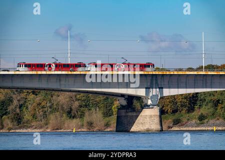 Die Konrad-Adenauer-Brücke, Südbrücke, Autobahnbrücke A562 und 2 Stadtbahnlinien, Straßenbahn, Bonn, NRW, Deutschland Konrad-Adenauer-Brücke *** Pont Konrad Adenauer, Pont Sud, pont autoroutier A562 et 2 lignes de tramway, Bonn, NRW, Allemagne Pont Konrad Adenauer Banque D'Images