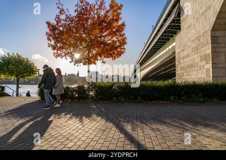 Die Kennedybrücke, mittlere der 3 Bonner Rheinbrücken, verbindet das Zentrum von Bonn und den Stadtteil Beuel, Bundesstraße B56, Stadtbahnlinien und Geh- und Radwege, Bonn NRW, Deutschland Kennedybrücke *** le pont Kennedy, au milieu des ponts Bonns 3 Rhin, relie le centre de Bonn et le district de Beuel, la route fédérale B56, lignes de métro léger et sentiers pédestres et pistes cyclables, Bonn NRW, Allemagne Kennedy Bridge Banque D'Images