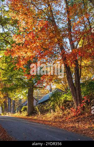 Fin d'après-midi sur une route de campagne à l'automne Banque D'Images