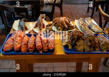 Fruits de mer frais pêchés localement exposés à l'extérieur du restaurant à Puerto Ayora, Équateur. Comprend brujo (poisson scorpion), poulpe et homard pantoufle Banque D'Images