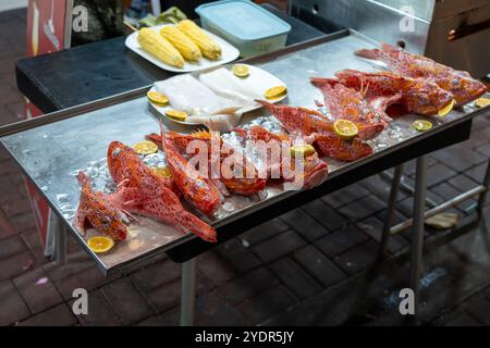 Brujo frais (poisson scorpion) sur glace à l'extérieur d'un restaurant de fruits de mer en plein air à Puerto Ayora, Équateur. Banque D'Images