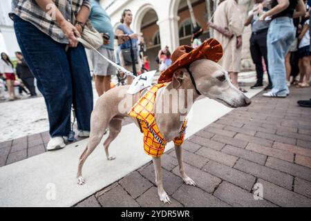 Coral Gables, FL, États-Unis. 26 octobre 2024. Dog participe au concours annuel de costumes de chien d'Halloween à Coral Gables, en Floride, le 26 octobre 2024. (Crédit image : © Ronen Tivony/ZUMA Press Wire) USAGE ÉDITORIAL SEULEMENT! Non destiné à UN USAGE commercial ! Banque D'Images