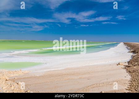 Eau salée et émeraude du lac Qarhan ou Chaerhan autour de la ville de Golmud, Qinghai, Chine. Copier l'espace pour le texte Banque D'Images