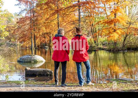 Sonntagsspaziergang im Westpark, Blick auf den Mollsee, München, Oktober 2024 Deutschland, München, 27. Oktober 2024, Goldener Oktober im Westpark, Münchner geniessen die letzten sonnigen Herbsttage BEI einem Spaziergang im Park, schauen auf den Mollsee mit den rostbraun leuchtenden Sumpfzypressen, schönes Wetter am Sonntagnachmittag, Sonnenschein und milde Temperaturen, Sonntagsspaziergang, Herbst, Bayern, *** vue dimanche 2024 27, Munich, Allemagne 2024, octobre doré dans le Westpark, les résidents de Munich apprécient le dernier automne ensoleillé da Banque D'Images